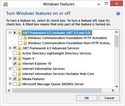 Screenshot showing installation of .NET with the control panel.