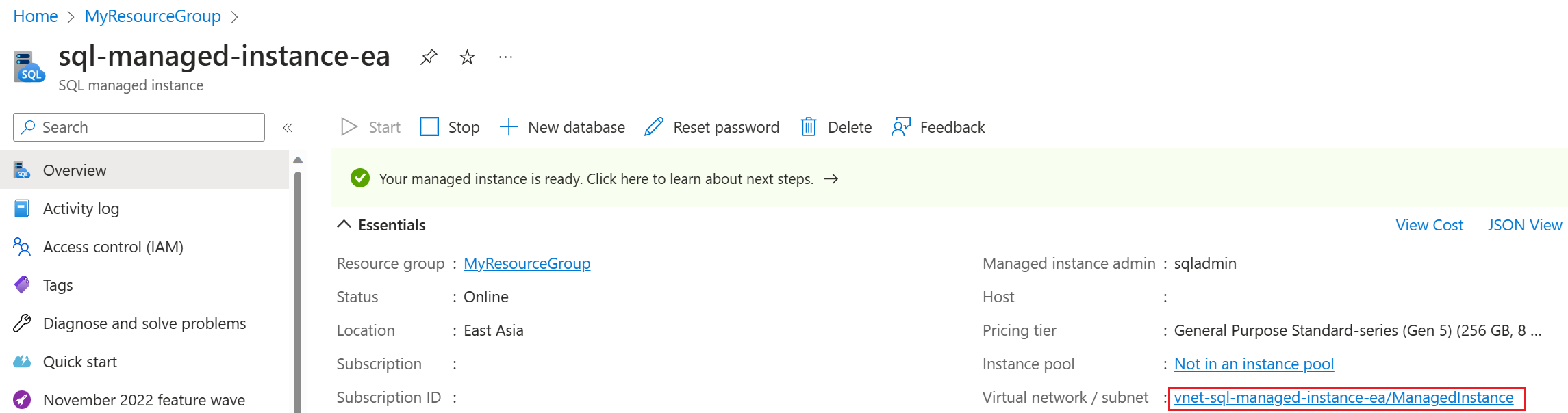 Snímek obrazovky se stránkou Přehled spravované instance SQL na webu Azure Portal s vybranou podsítí