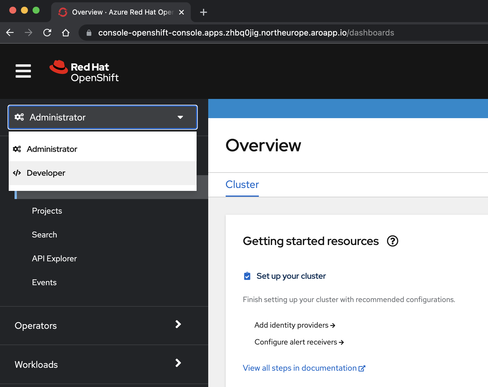 Snímek obrazovky se zobrazením vývojáře konzoly OpenShift