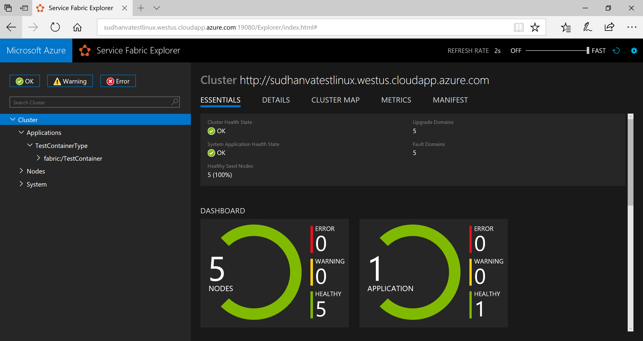 Service Fabric Explorer