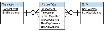 Ff647817.Des_CaptureTransactionDetails_Fig01(en-us,PandP.10).gif