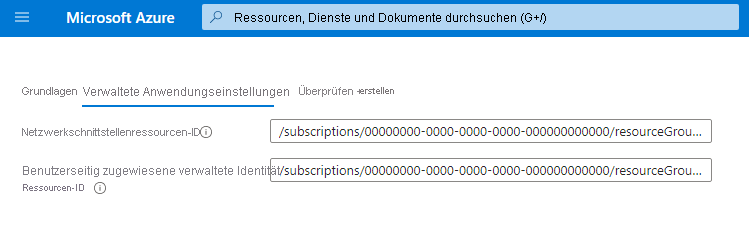 Screenshot eines createUiDefinition.json-Beispiels mit zwei Eingaben: eine Netzwerkschnittstellen-Ressourcen-ID und eine benutzerseitig zugewiesene verwaltete Identitätsressourcen-ID.