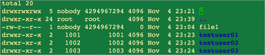 Resulting configuration for NFSv4.1