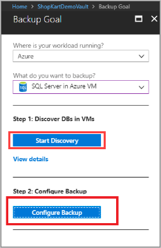 Sicherungsziel – SQL Server in Azure-VM