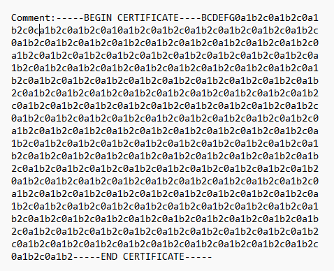 Screenshot des Kommentars zum Zertifikatsbeispiel