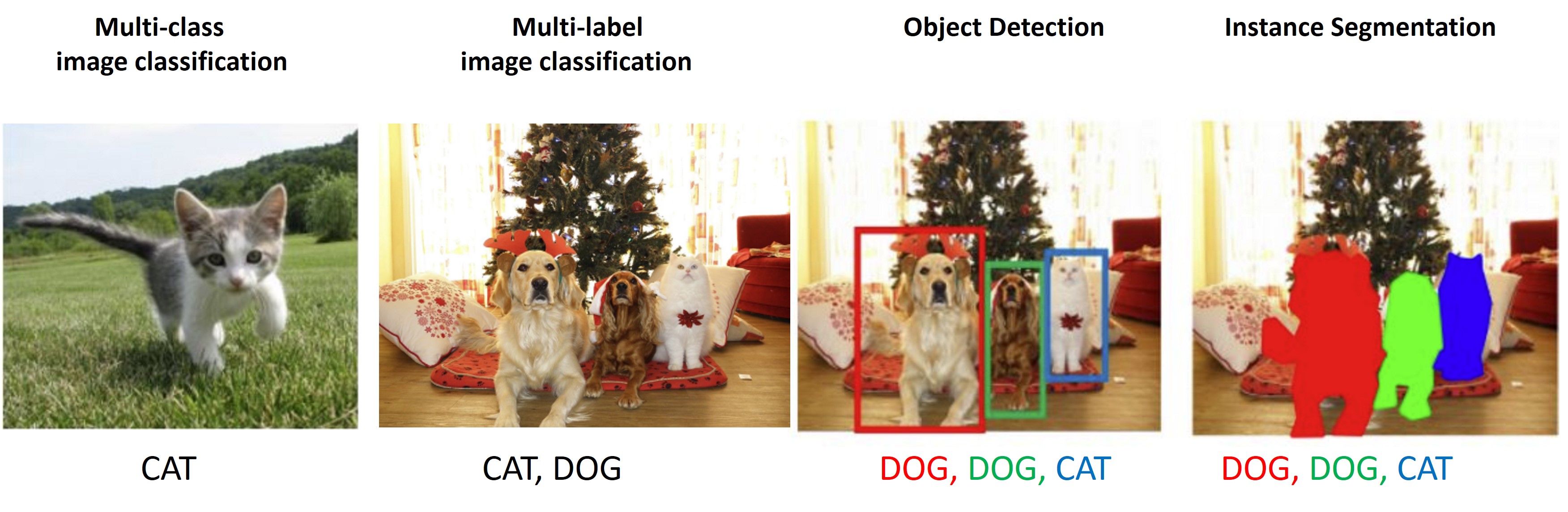 Diagramm: Ergebnis des obigen Experiments