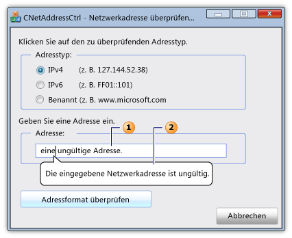 Dialogfeld mit einem Netzwerkadresssteuerelement und Infoinfo.