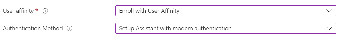 Registrieren Sie im Intune Admin Center und in Microsoft Intune iOS-/iPadOS-Geräte mithilfe der automatisierten Geräteregistrierung (ADE). Wählen Sie Mit Benutzeraffinität registrieren aus, und verwenden Sie den Setup-Assistenten für die Authentifizierung. Die Unternehmensportal-App wird automatisch installiert.