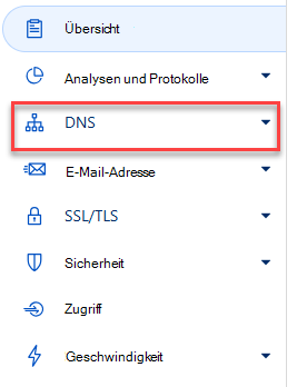 Wählen Sie DNS aus.