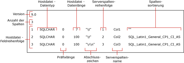 Standardmäßige Nicht-XML-Formatdatei für "myTextSkipCol"