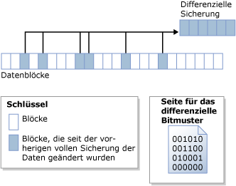 Vom differenziellen Bitmuster werden geänderte Blöcke identifiziert