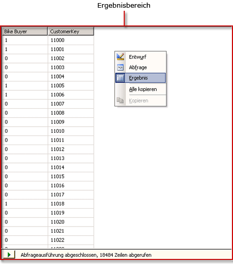 DMX-Abfrage-Designer für Analysis Services, Ergebnisansicht