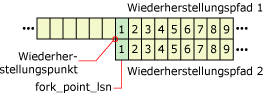 Wiederverwendung von LSNs in verschiedenen Wiederherstellungs-Verzweigungspunkten