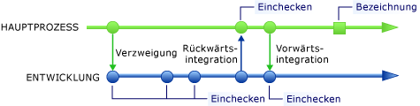 Hauptverzweigung