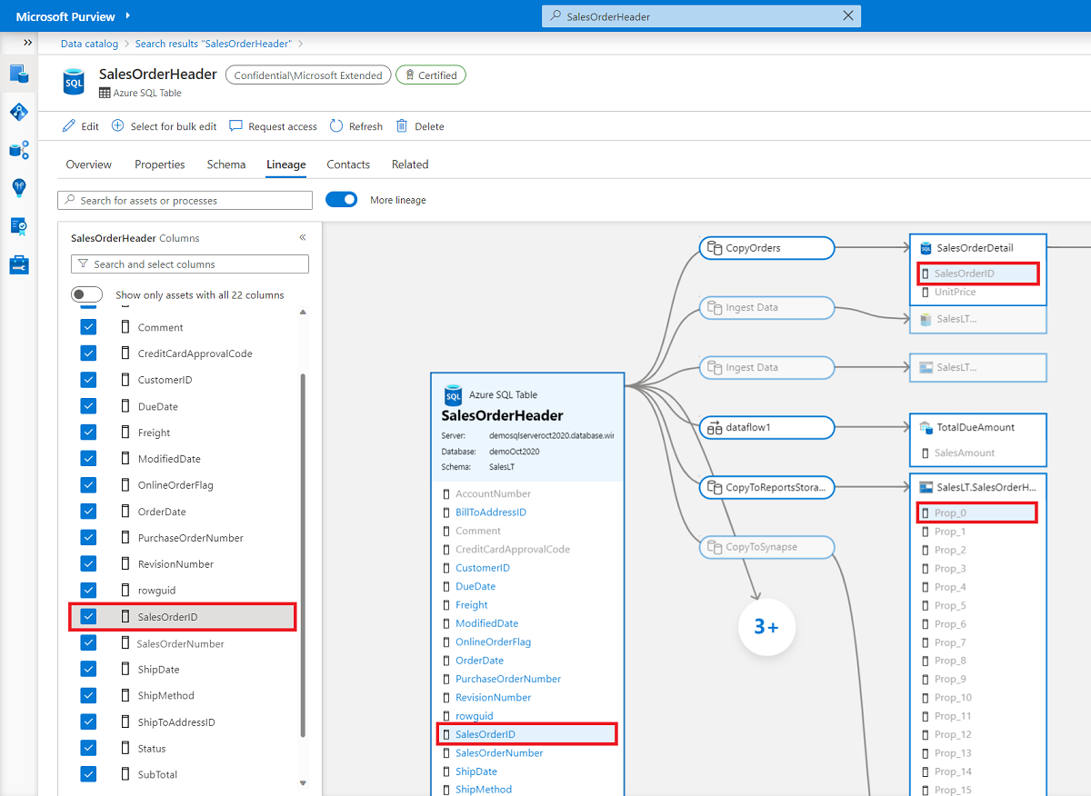 Screenshot: Zeigen auf einen Spaltennamen, um den Spaltenfluss in einem Datenherkunftspfad hervorzuheben