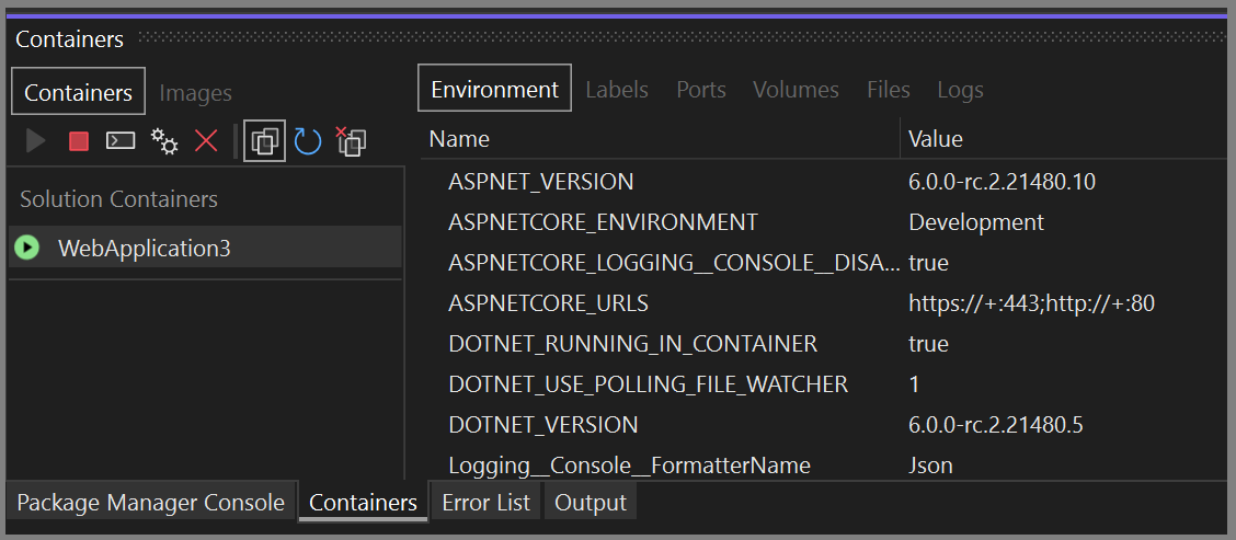 Screenshot des Fensters „Container“ in Visual Studio, in dem die Umgebungsvariablen für einen Container angezeigt werden.