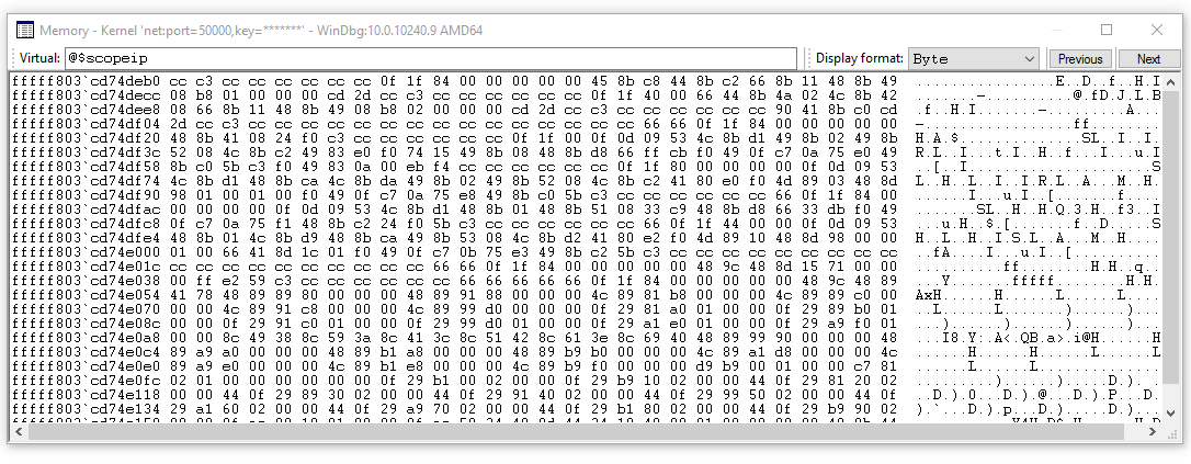 Screenshot des WinDbg-Ansichtsspeicherfensters mit verschiedenen Anzeigeformatoptionen.