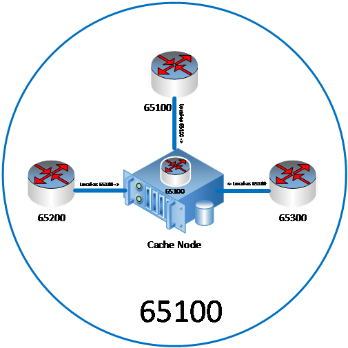 Ein Diagramm, das die Beziehung zwischen dem Cacheknoten und anderen ASNs/Routern bei Verwendung von BGP zeigt. BGP-Routing ermöglicht dem Cacheknoten die Weiterleitung an andere Netzwerkanbieter mit unterschiedlichen ASNs.