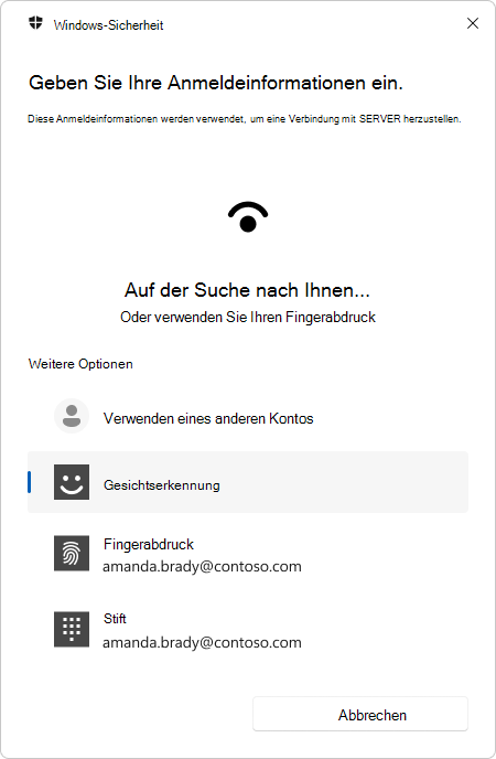 Screenshot der Authentifizierungsaufforderung für die Remotedesktopverbindung mit biometrischen Daten.