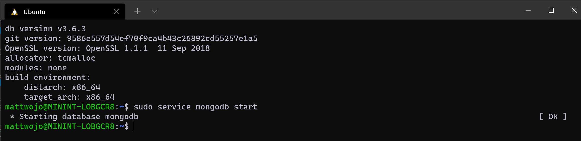 Ausführen von MongoDB in Ubuntu über WSL