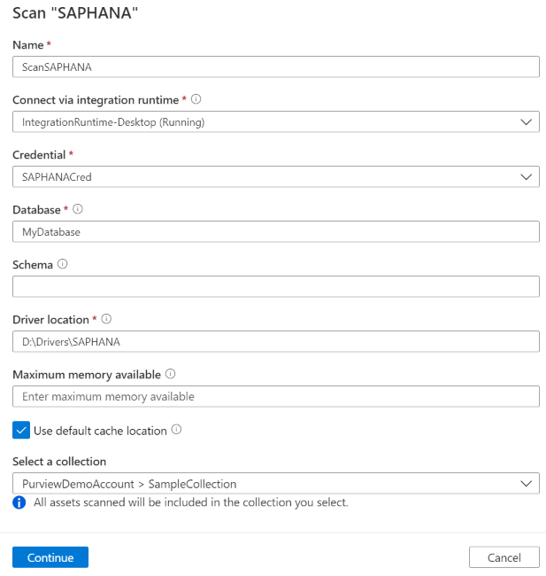 Screenshot that shows boxes for scan details.