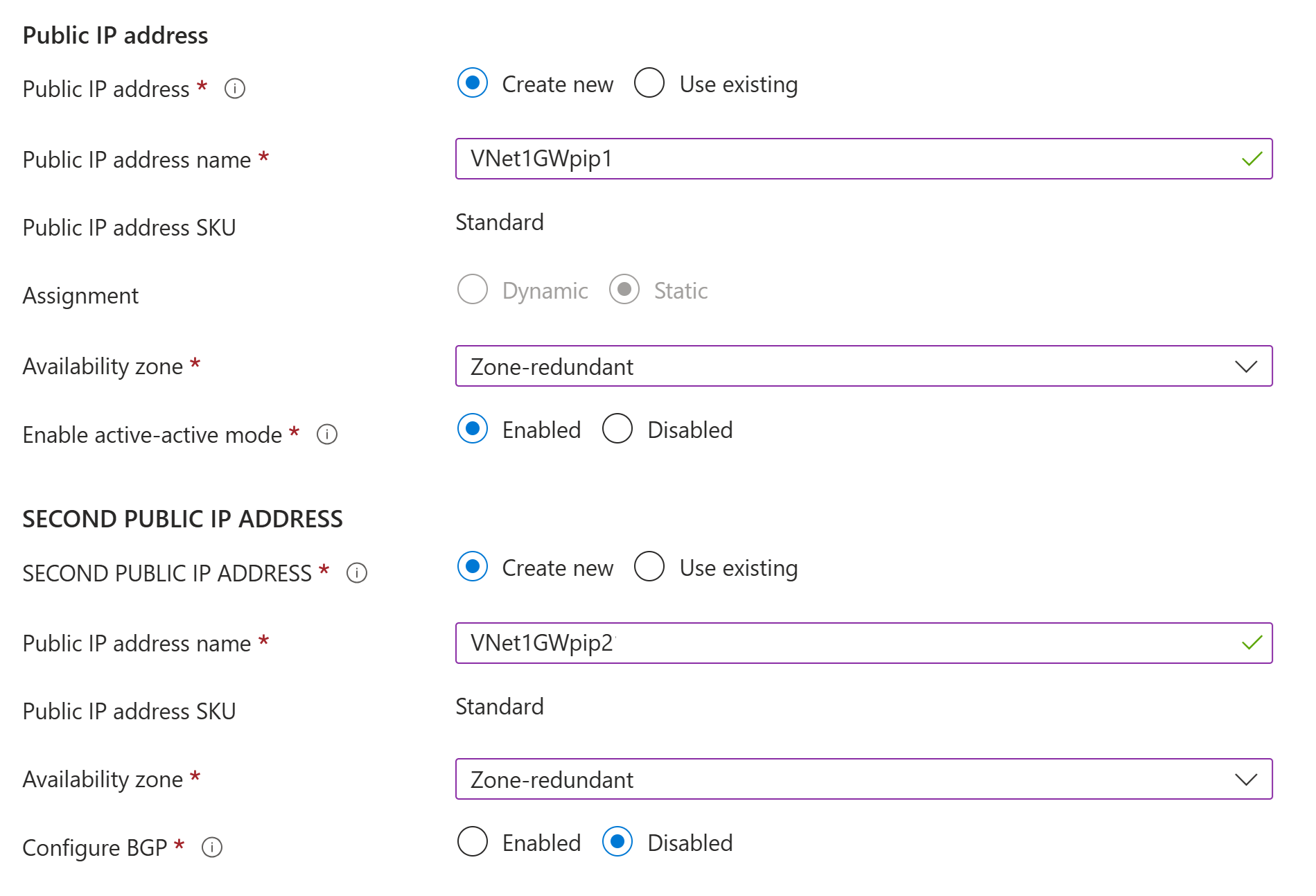 Screenshot that shows the Public IP address field.