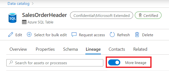 Screenshot showing how to toggle More lineage.