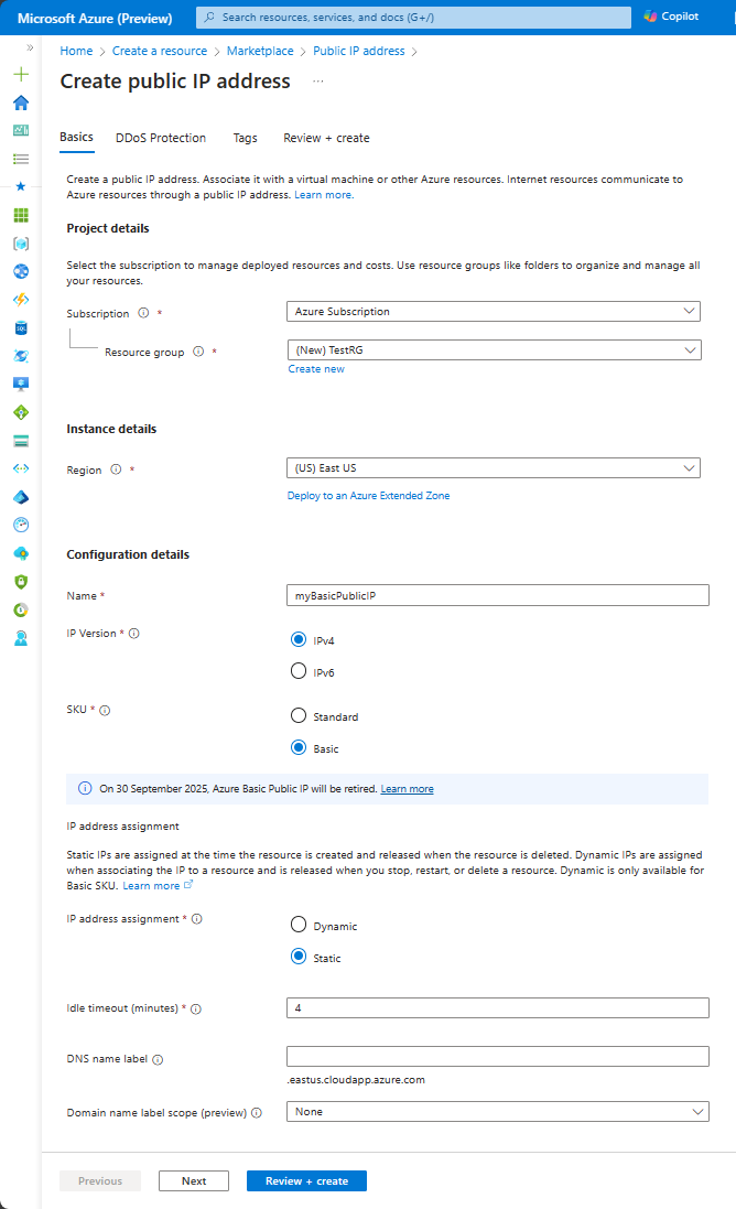 Screenshot that shows the Create public IP address Basics tab settings for a Basic SKU.