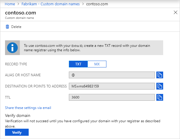 Screenshot of Contoso page with DNS entry information.