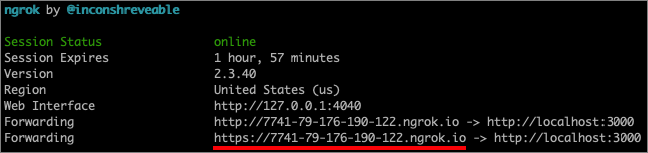 Screenshot showing how to get the ngrok public URL.