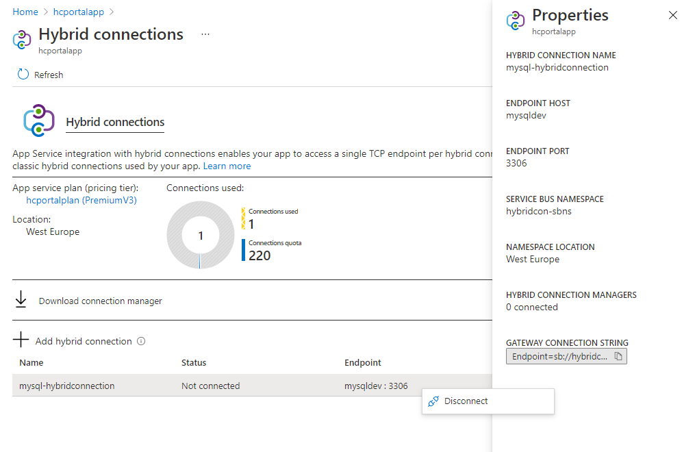 Screenshot of Hybrid connections details.