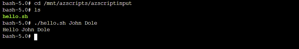 Screenshot of the deployment script container instance test output displayed in the console.