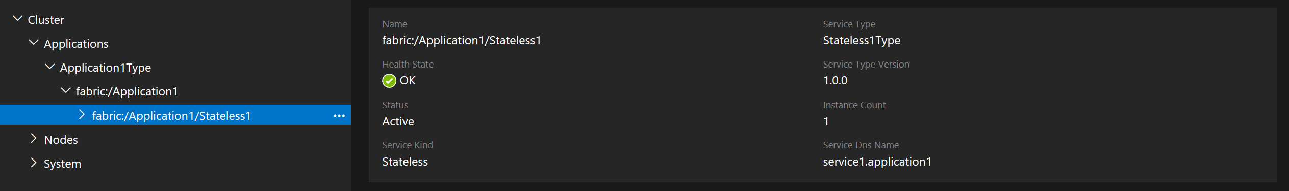 Screenshot of the DNS name in Service Fabric Explorer.