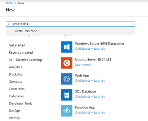Shows searching for 'private dns zone' on new resources page in the Azure portal.