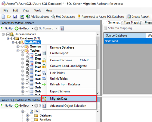 Screenshot of the "Migrate Data" command on the "Access Metadata Explorer" pane.