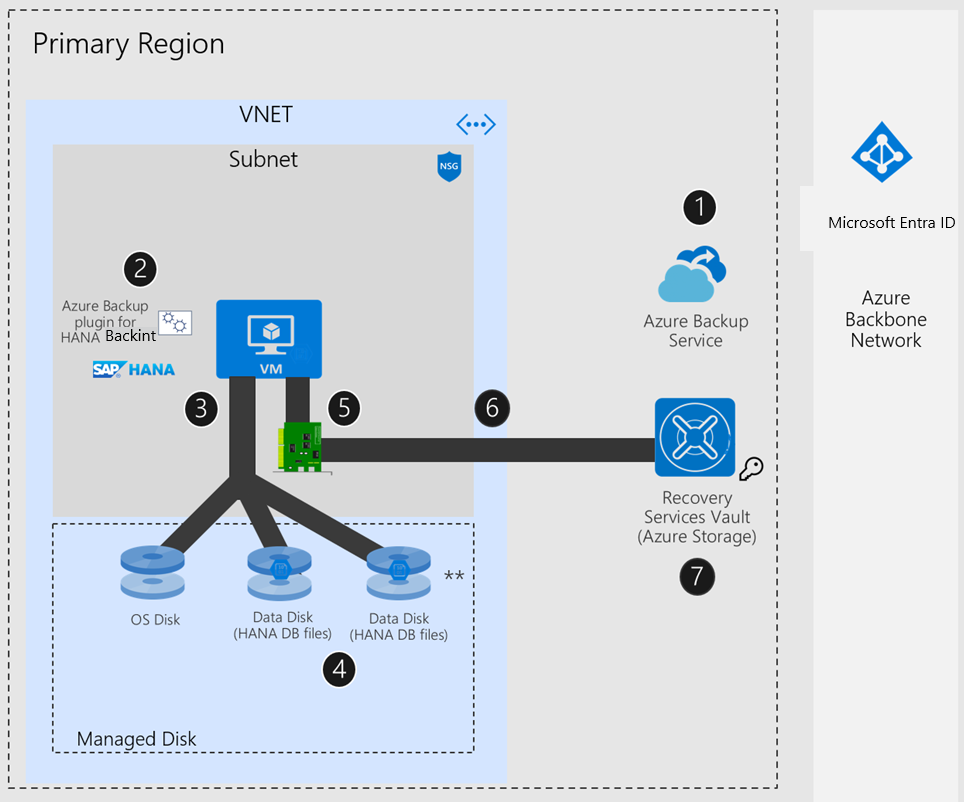 Diagram showing the SAP HANA setup if Azure network without any NVA/Azure Firewall.