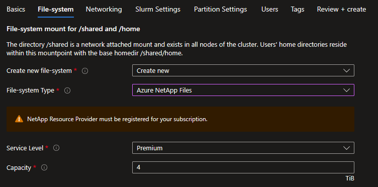 Screenshot of the File-system mount for /shared and /home Azure NetApp files create new options screen