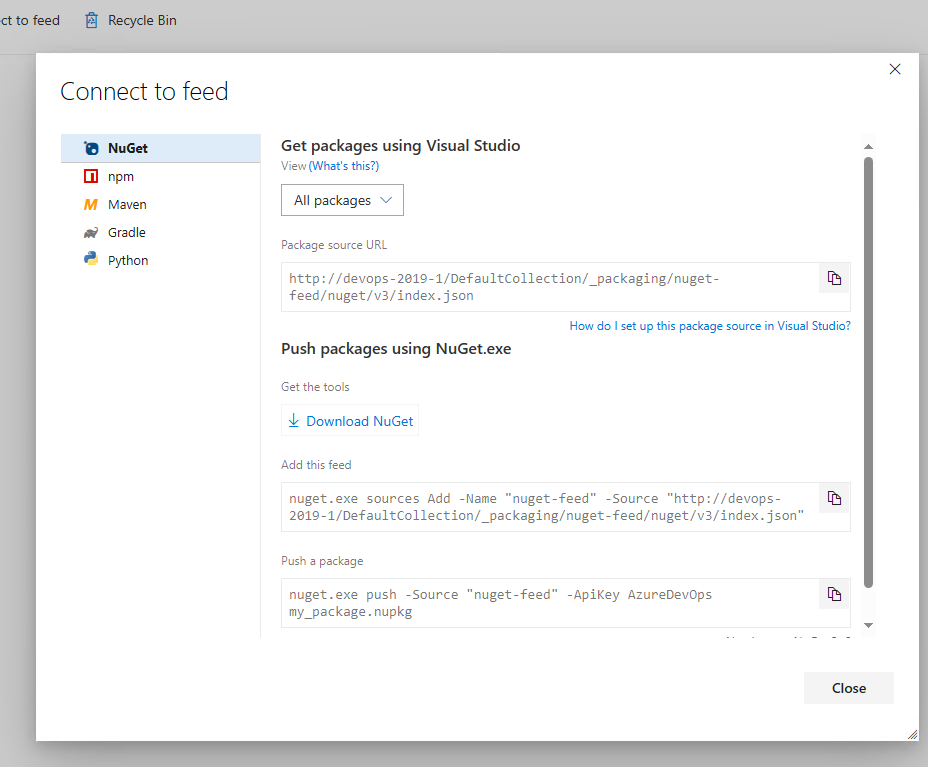 Screenshot that shows onscreen instructions for setting up a NuGet project in Azure DevOps Server 2019.