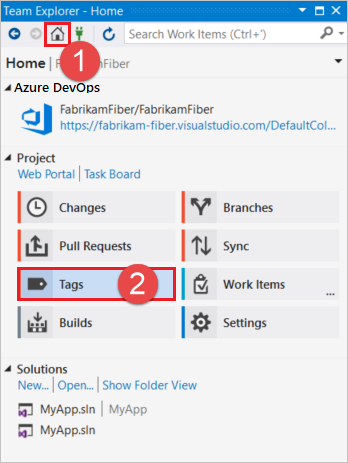 Screenshot of the Visual Studio tags button.