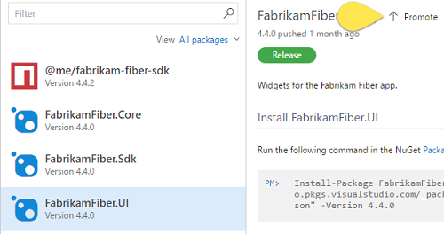 Release views in Package Management