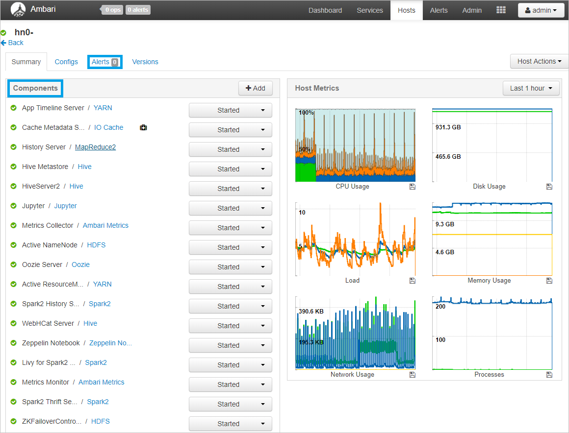 Apache Ambari hosts single node view.