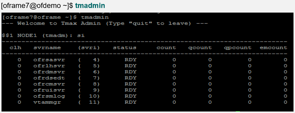 tmadmin command output