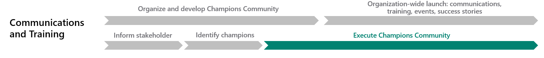 The execute champions community phase.