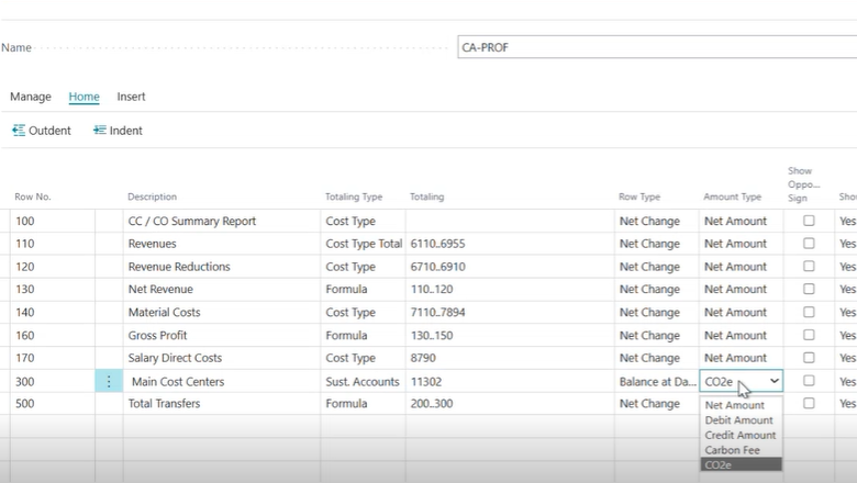 Sustainability amount types in the financial reports