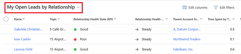 Screenshot of the My Open Leads by Relationship view
