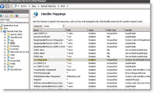 Screenshot of window for IIS configuration.