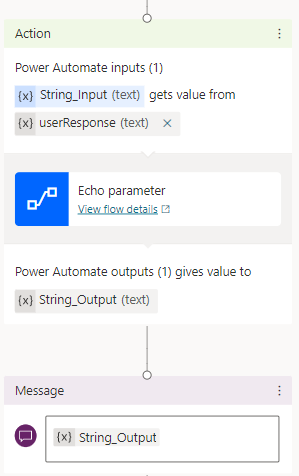 Screenshot of an Action node for the Echo parameter flow.