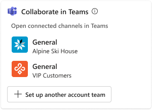 Screenshot showing creating account team from record details view.