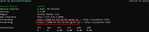 Screenshot of image showing ngrok tunnel.