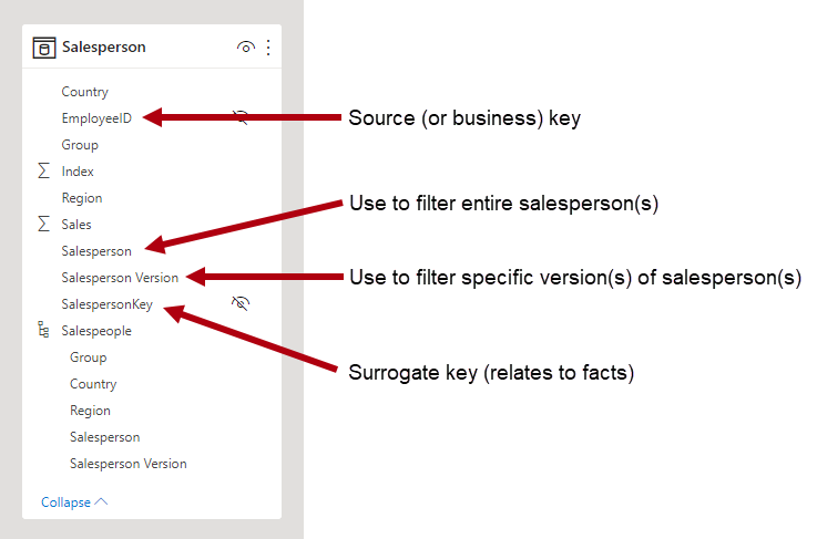 Image shows the Fields pane with columns for Salesperson and Salesperson Version.